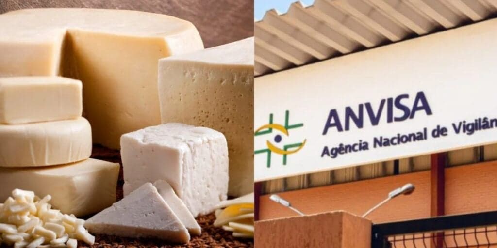 Infecção, diarreia e vômitos: A PROIBIÇÃO da ANVISA contra marca de queijo AMADA arrancada dos mercados