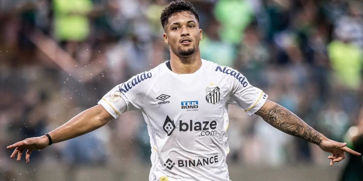 Marcos Leonardo no Santos (Foto: Divulgação)