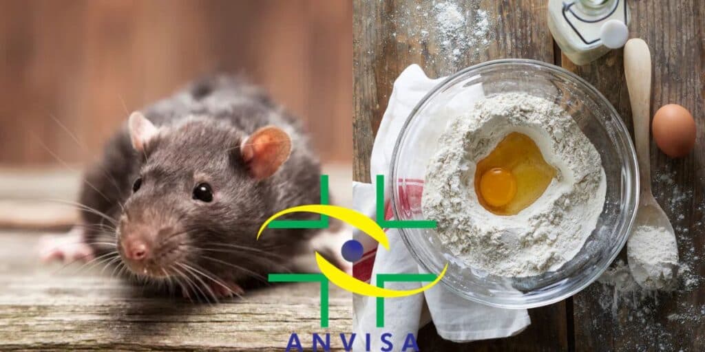 Pelo de rato: A intervenção da ANVISA contra marca de farinha AMADA às pressas e decreto hoje (13)