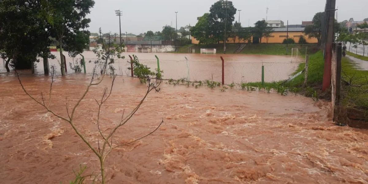 Paraná, Banco do Brasil