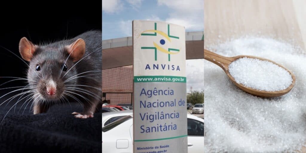 Fezes e pelo de rato: A PROIBIÇÃO da ANVISA contra marca de sal e açúcar e decreto hoje (25)