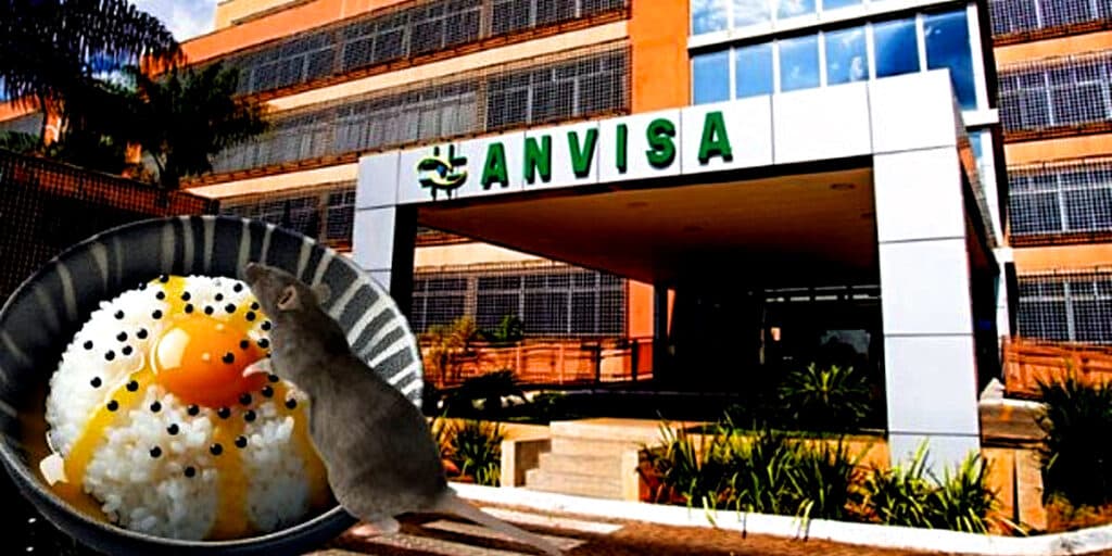 Fezes e pelo de rato: As 2 marcas de arroz PROIBIDAS pela ANVISA, arrancadas dos mercados e situação hoje