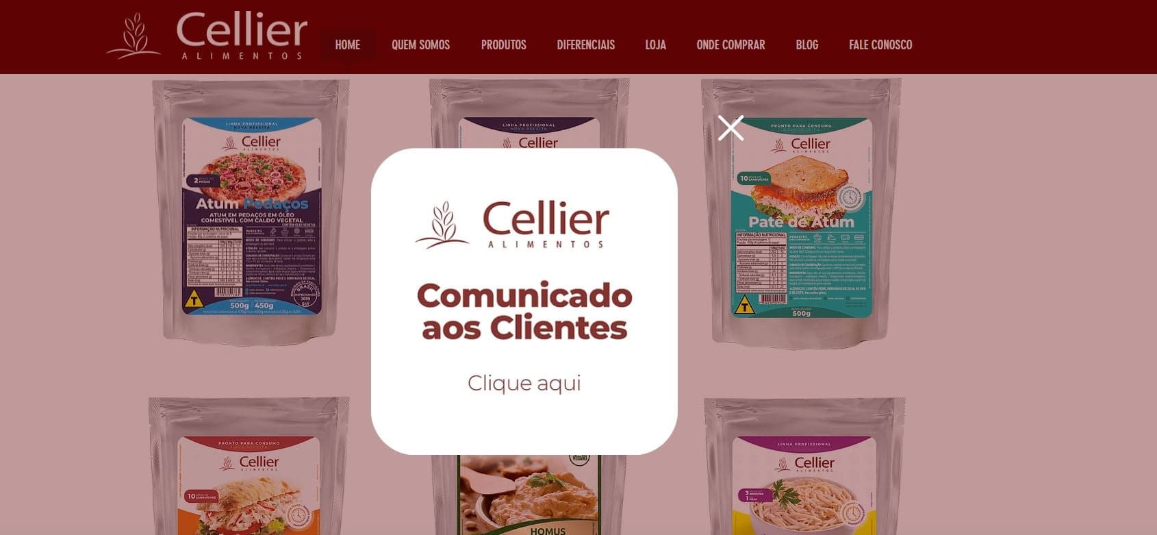 Comunicado da Celier logo no inicio do seu site de compras esclarecendo o ocorrido em agosto de 2023 (Foto Reprodução/Internet)