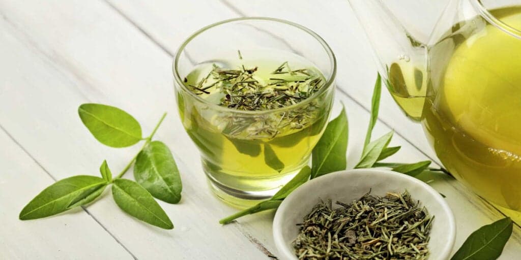 Combate o Alzheimer e é a fonte da juventude: Chá milagroso com apenas 1 ingrediente fará você passar dos 100