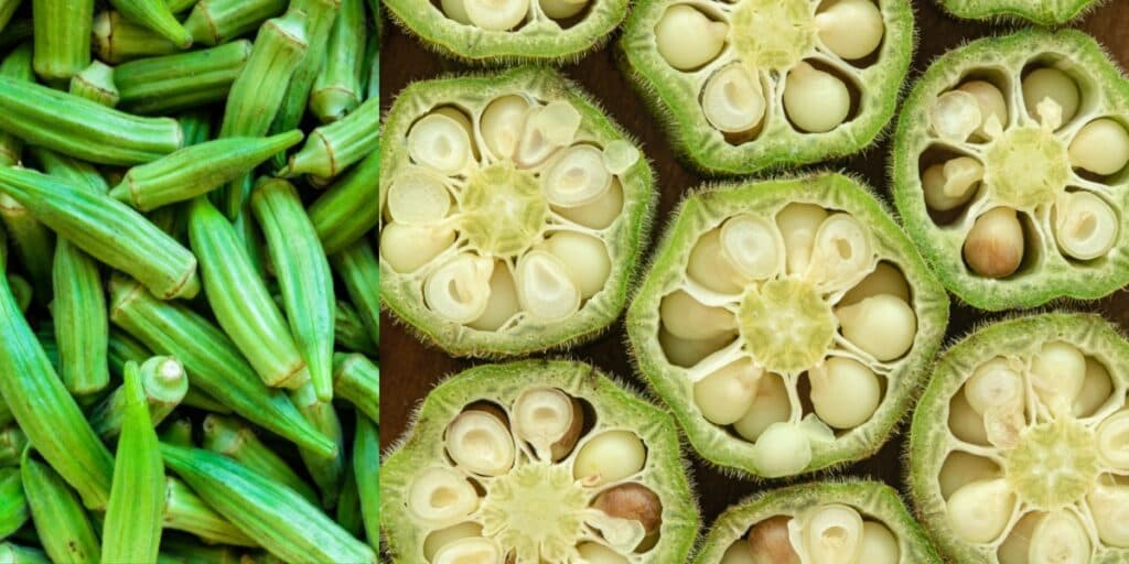 Comece hoje mesmo: 10 motivos incríveis para começar a COMER quiabo e nunca mais parar
