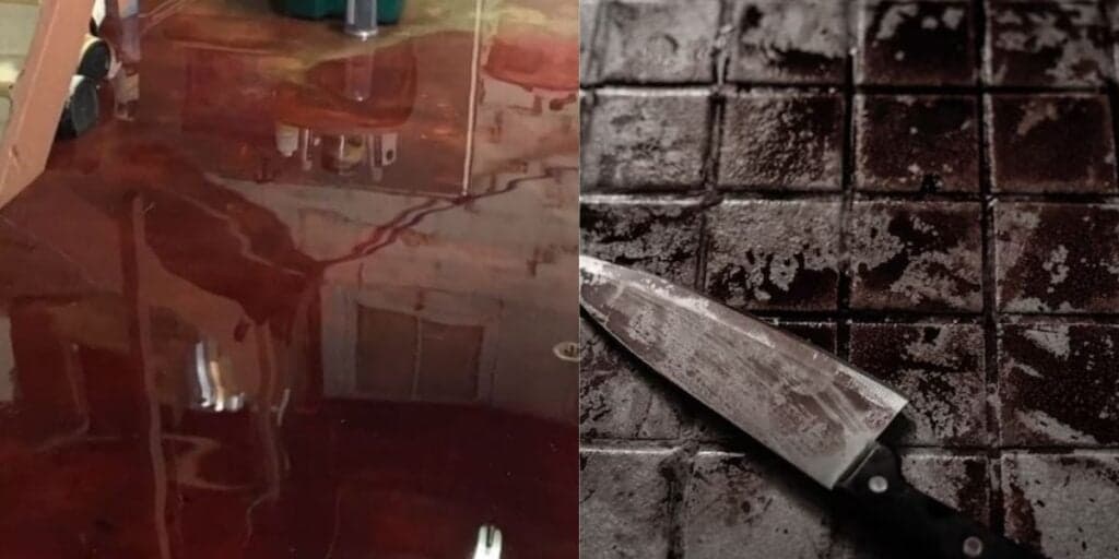 Assassinato brutal: Mulher esfaqueia namorado até a morte ao chegar bêbada em casa e quebrar o pau com rapaz