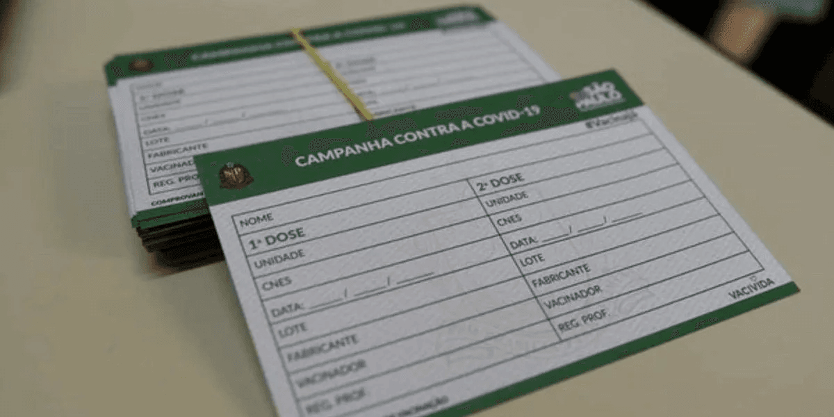 Documento: Passaporte de Vacina (Foto: Reprodução, G1)