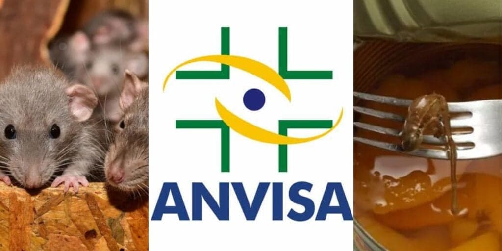 Fezes de rato, cacos de vidro e até baratas: ANVISA age às pressas e arranca produtos amados das prateleiras