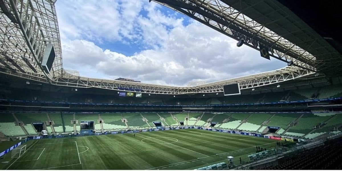 O gramado do Allianz Parque é sintético (Reprodução: Internet)