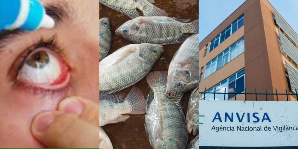 Alerta de cegueira, proibição da ANVISA e peixe que pode MATAR: 3 bombas de produtos populares em 2023