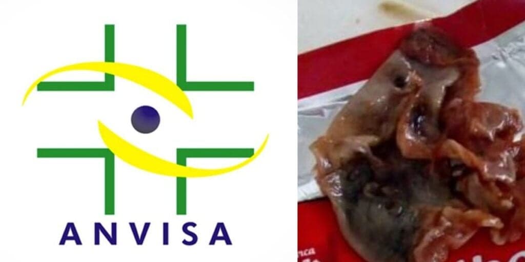Fezes de rato, pedaços de cavalo e até larvas: 5 marcas tradicionais barradas pela ANVISA