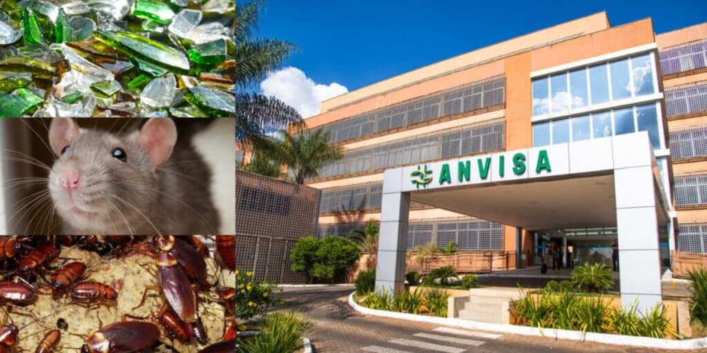 Baratas, fezes de rato e vidro: 2 marcas tradicionais e 4 restaurantes que foram barrados pela ANVISA