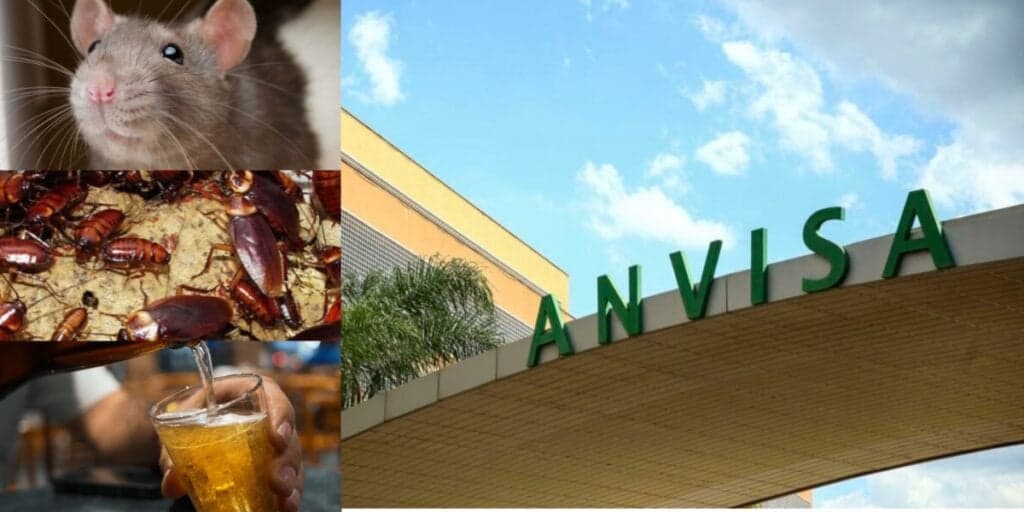 Rato, barata e até morte: A proibição às pressas da ANVISA contra várias empresas e pedido URGENTE