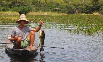 Auxílio Extraordinário para Pescadores (Foto: Reprodução / Internet)
