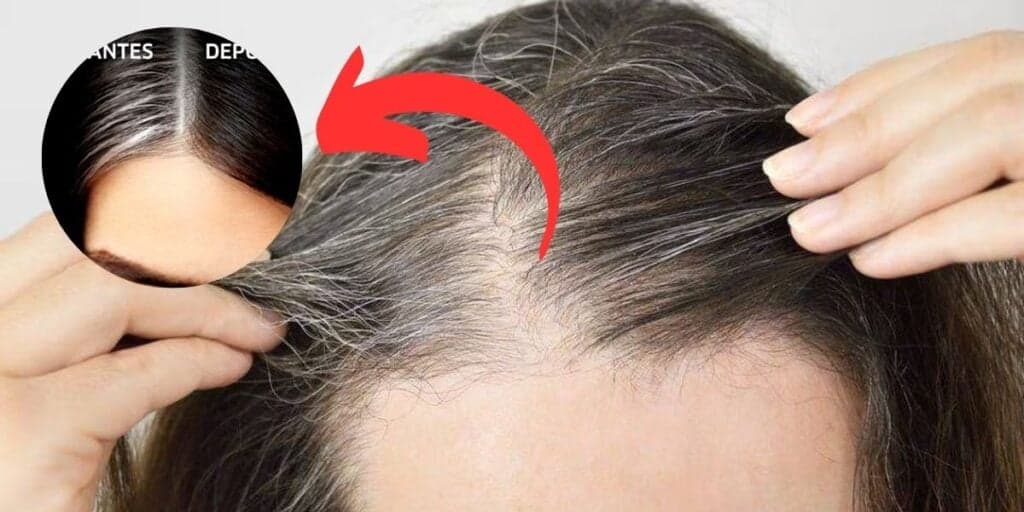Nada de química e sem gastos no salão: 2 óleos que acabam com os cabelos brancos de maneira natural