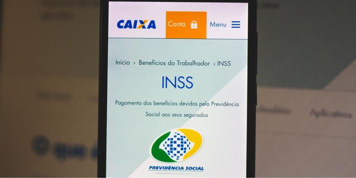 Todas as informações estão no Meu INSS (Reprodução: Internet)