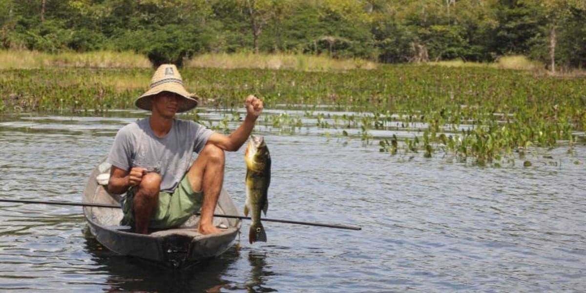 Pescador (Foto: Reprodução / portal do Governo)