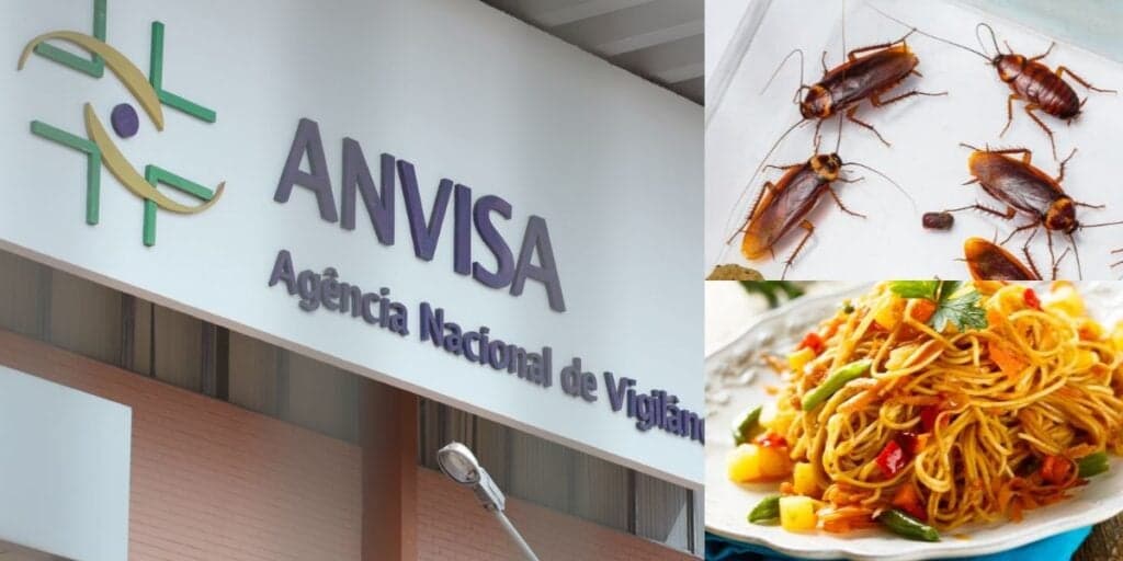 Baratas, ratos e ordem da Anvisa: A interdição urgente de 2 restaurantes tradicionais e anúncio de prisão