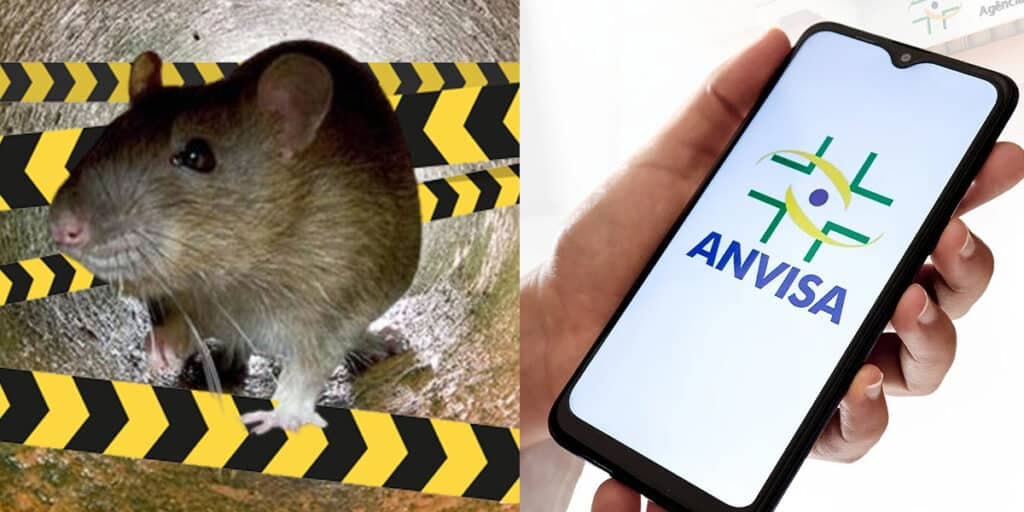 Fezes de rato e ordem da ANVISA: A interdição urgente da Vigilância contra açougue, farmácia e fábrica