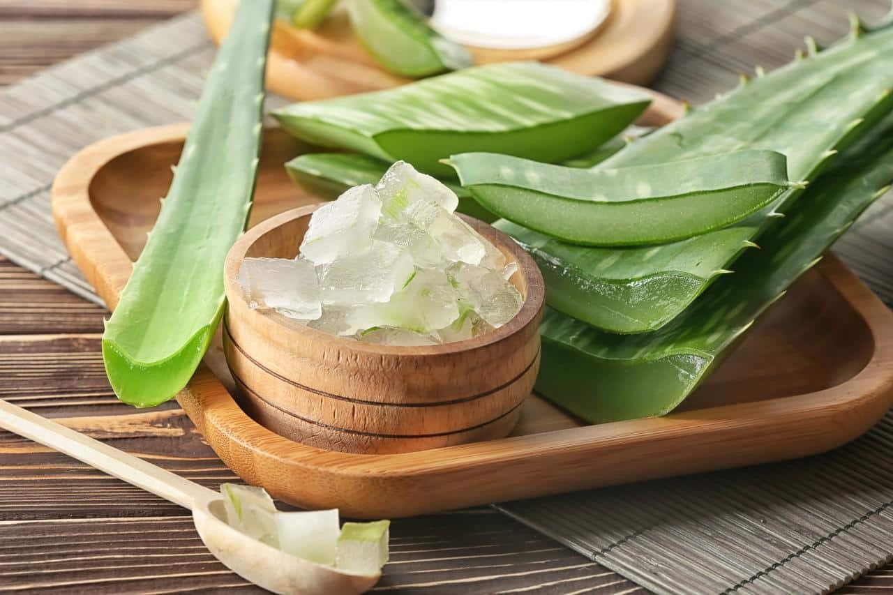 Receita é feita à base de babosa/ Aloe Vera (Foto Reprodução/Internet)