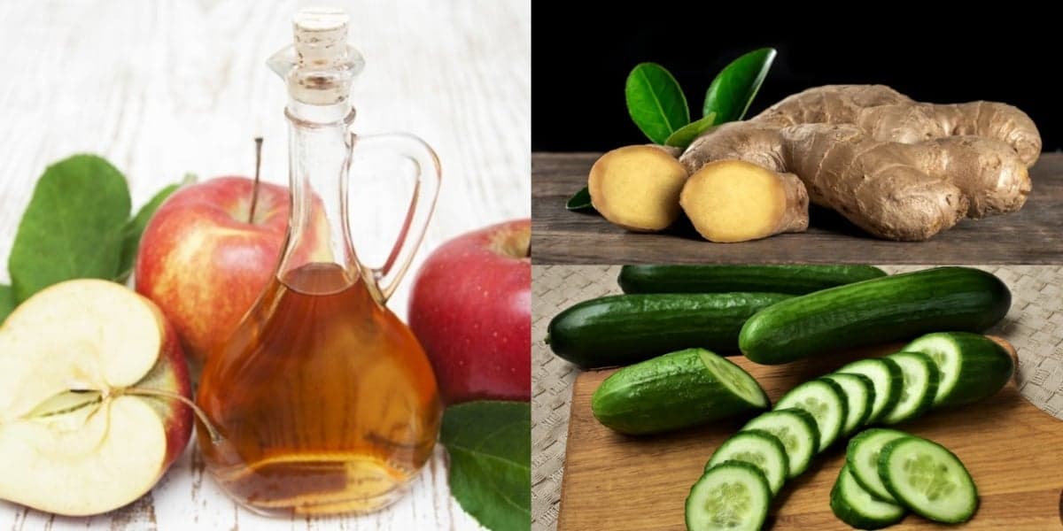Ingrediente para detox caseiro (Foto: Reprodução/ Internet) Ingrediente para detox caseiro (Foto: Reprodução/ Internet)