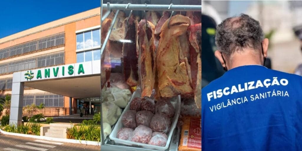 Infestação de insetos e carne azul: A interdição urgente da ANVISA contra mercado popular por falta de higiene