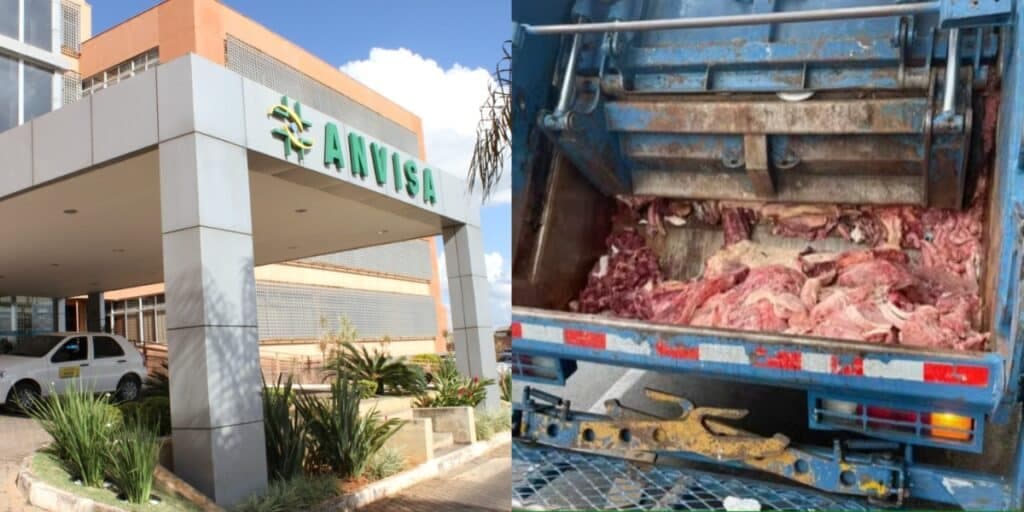 Larvas e bolor: 5 gigantes das carnes são desmascarados por nojeira e acabam proibidos por decreto da ANVISA
