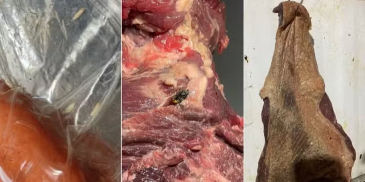 Amostras de pedaços de carnes com larvas, insetos, bolor e coloração escura - Foto: Polícia Civil Amostras de pedaços de carnes com larvas, insetos, bolor e coloração escura - Foto: Polícia Civil