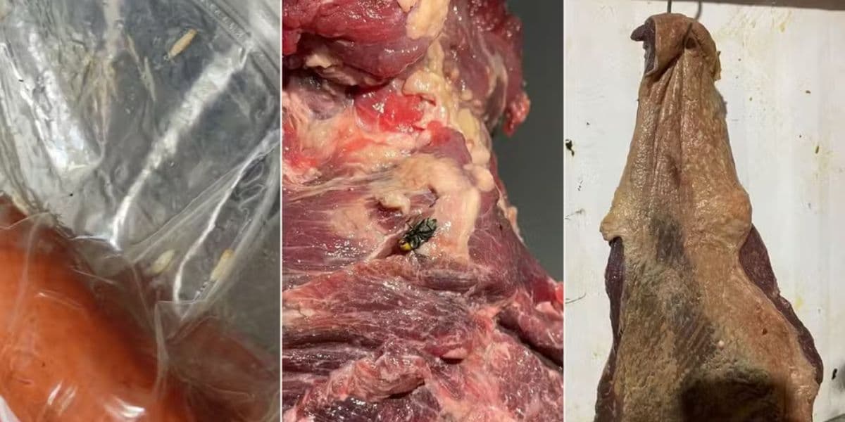 Larvas, moscas estavam presente nas carnes (Reprodução: Polícia Civil)