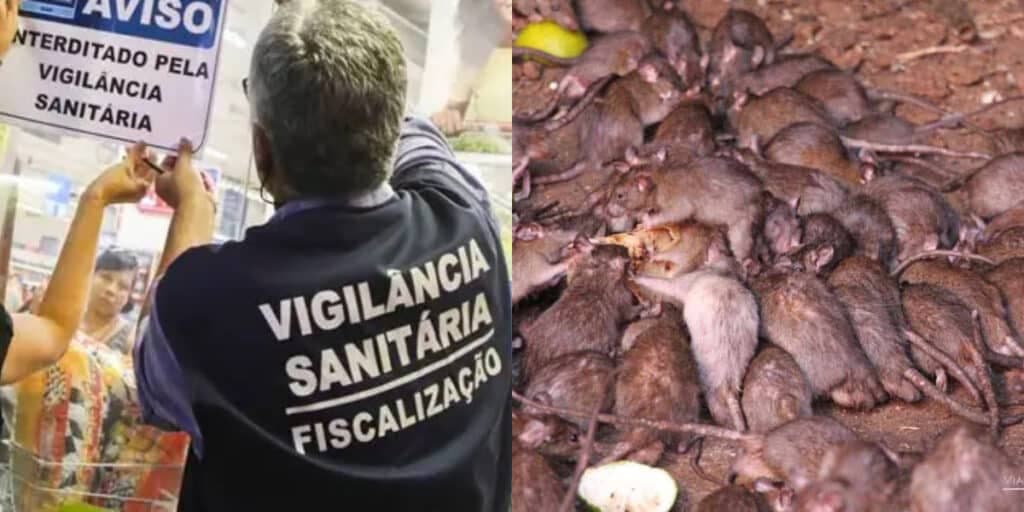 Ratos, baratas e alimentos podres: A interdição às pressas da Vigilância Sanitária de restaurante tradicional