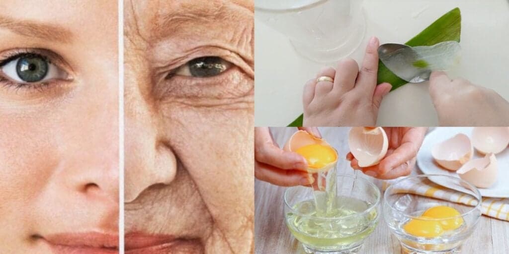 Clara de ovo + 3 ingredientes: Receita milagrosa pra você ficar 30 anos mais jovem e eliminar rugas em casa