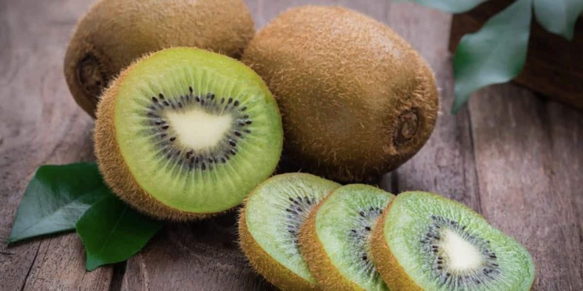 Kiwi (Reprodução/Internet)