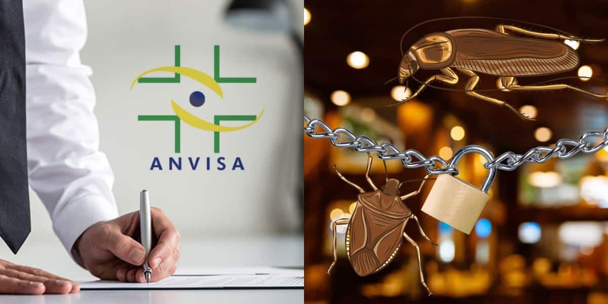 A interdição da Anvisa em restaurante do RJ (Reprodução/Montagem TV Foco) A interdição da Anvisa em restaurante do RJ (Reprodução/Montagem TV Foco)