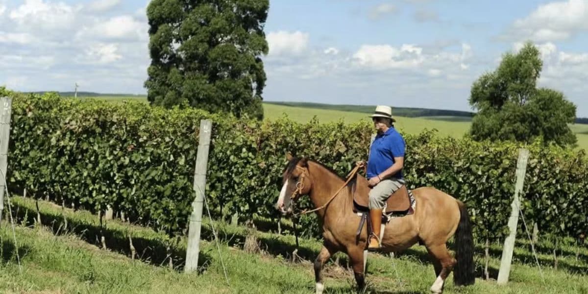 Comentarista é dono de fazenda milionária (Reprodução/Internet)