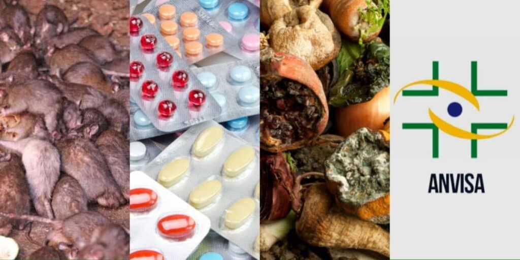 Ratos, comida podre e remédio proibido: Ordem da ANVISA fecha 3 estabelecimentos por risco de vida aos clientes