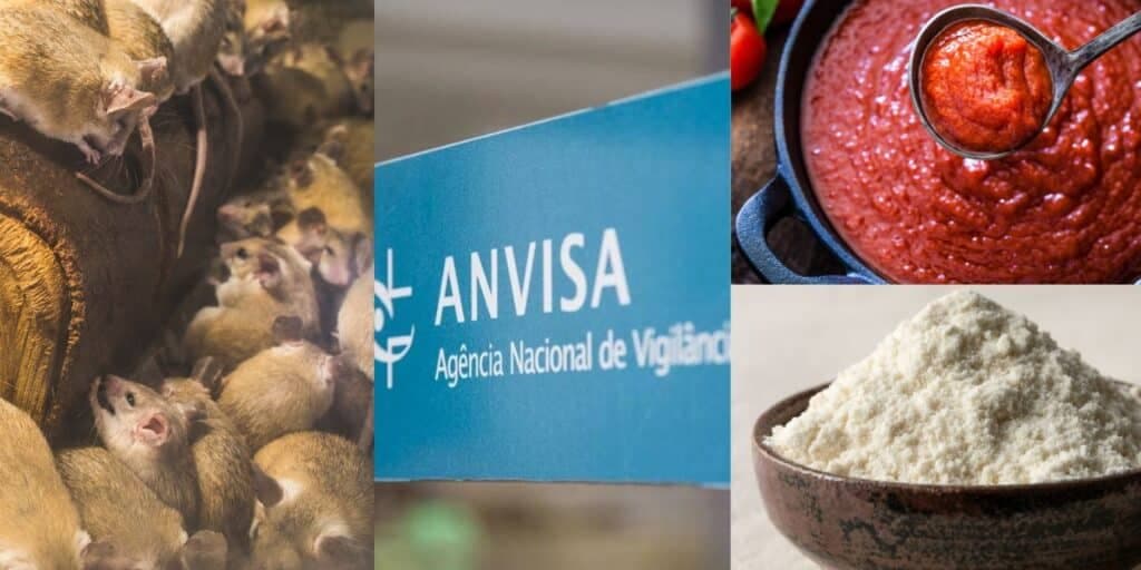 Venda proibida e pelo de rato encontrado: Molho de tomate, farinha e +1 tempero são arrancados pela ANVISA