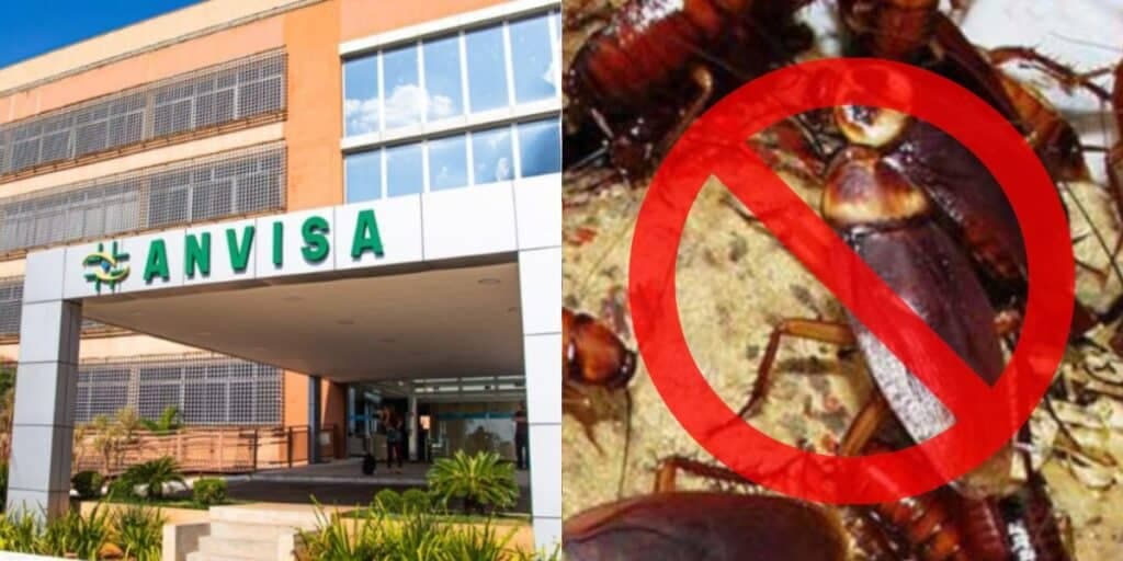 Comida vencida, sujeira e baratas por toda parte: A proibição severa da ANVISA contra restaurante popular