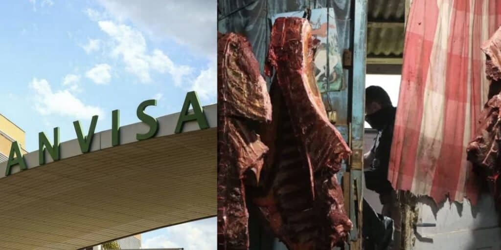 Hambúrguer com carne de cavalo: Proibição da ANVISA lacra 2 restaurantes por nojeira e 6 pessoas acabam presas
