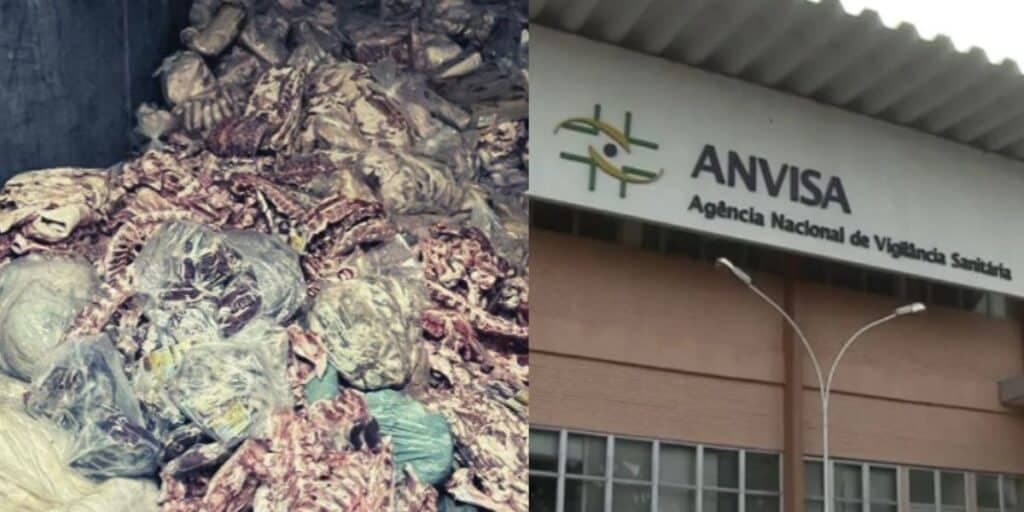 14 toneladas de carne no lixo: A apreensão urgente contra frigorífico diante de proibição da ANVISA
