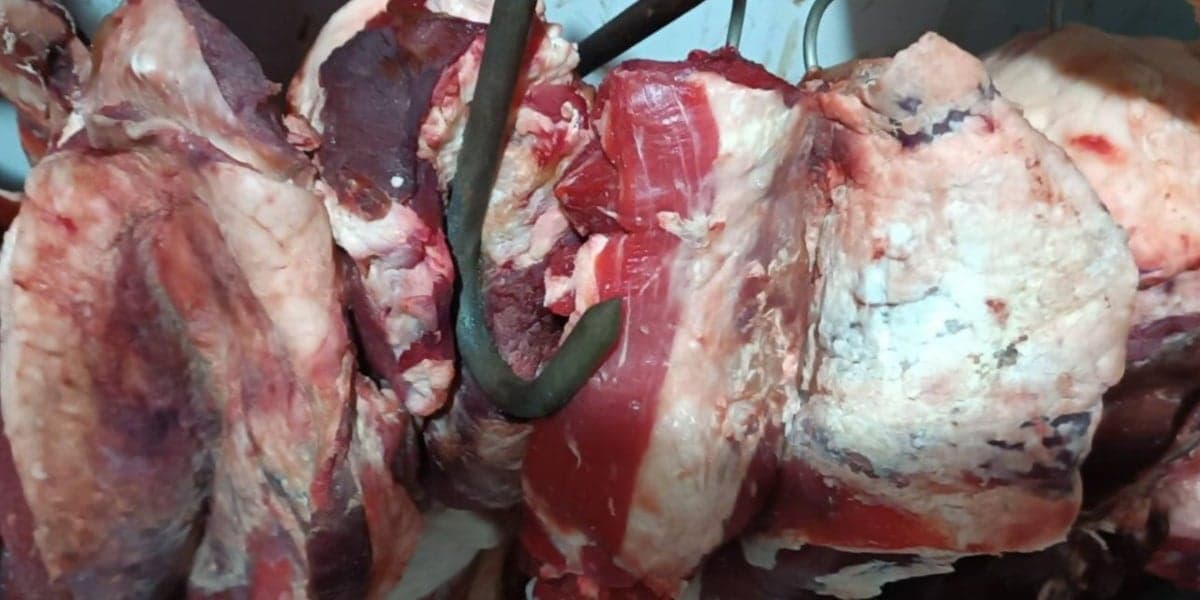 Foram apreendidas mais de 5 toneladas de carnes e frios (Foto: Divulgação Polícia Civil)