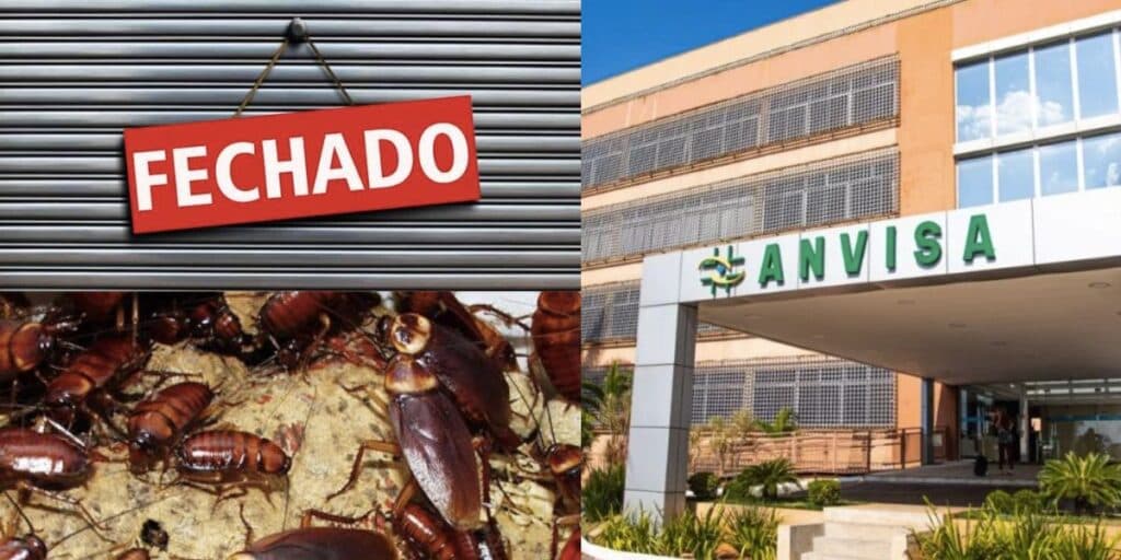 Baratas, comida vencida e gritaria: 2 restaurantes, amados nos shoppings, fechados às pressas pela Anvisa