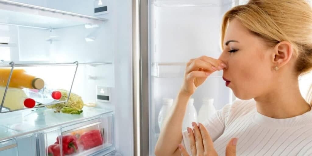 Adeus odor 'podre': Como acabar com o mau cheiro da geladeira e deixá-la nova de novo com apenas 4 passos
