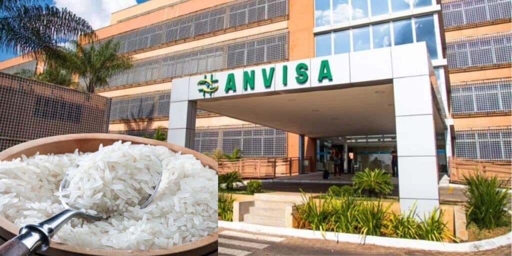 Fezes de rato, nojeira e gritaria: Marca famosa de arroz, presente na sua mesa, barrada às pressas pela Anvisa