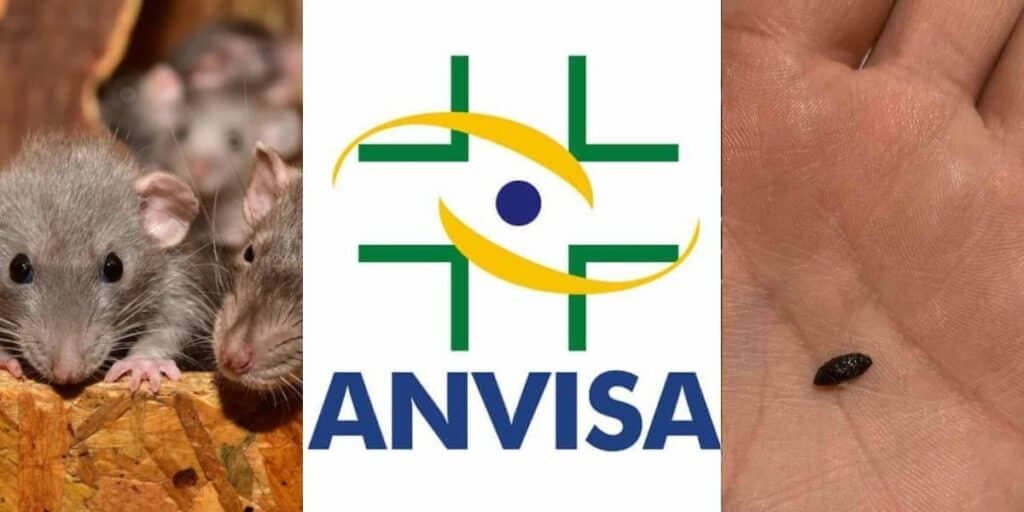 Fezes de ratos, substância tóxica e risco de vida: A proibição da ANVISA contra 2 produtos queridinhos
