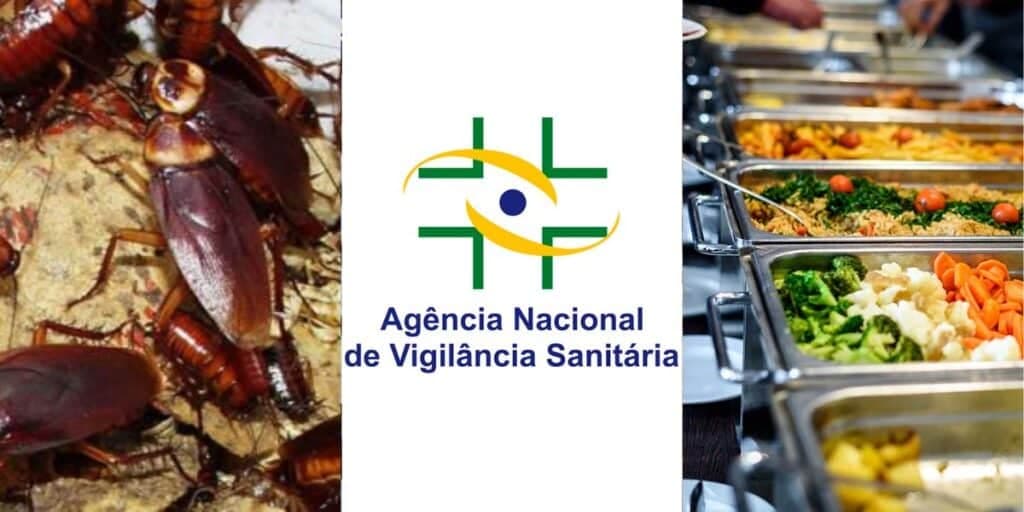 100 kg de comida no lixo, baratas e ordem da ANVISA: A interdição urgente contra 4 restaurantes tradicionais