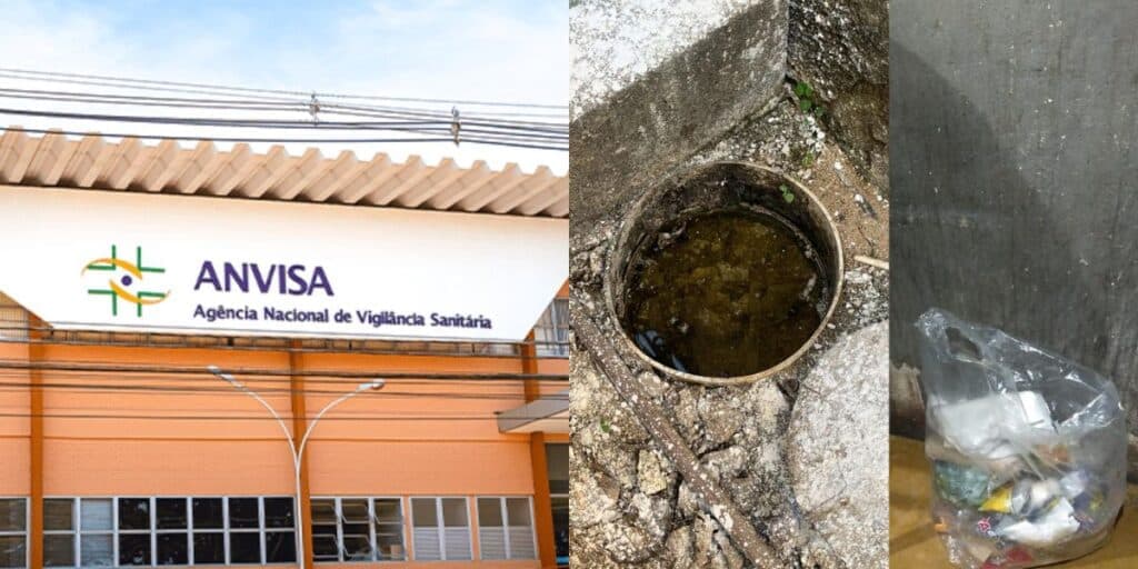 Insetos, esgoto aberto na cozinha e proibição da Anvisa: Restaurante amado acaba de ser lacrado por nojeira