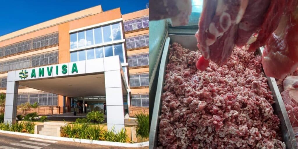 Carne estragada, maionese estragada e podridão: A interdição urgente da ANVISA contra 3 fábricas e mercado