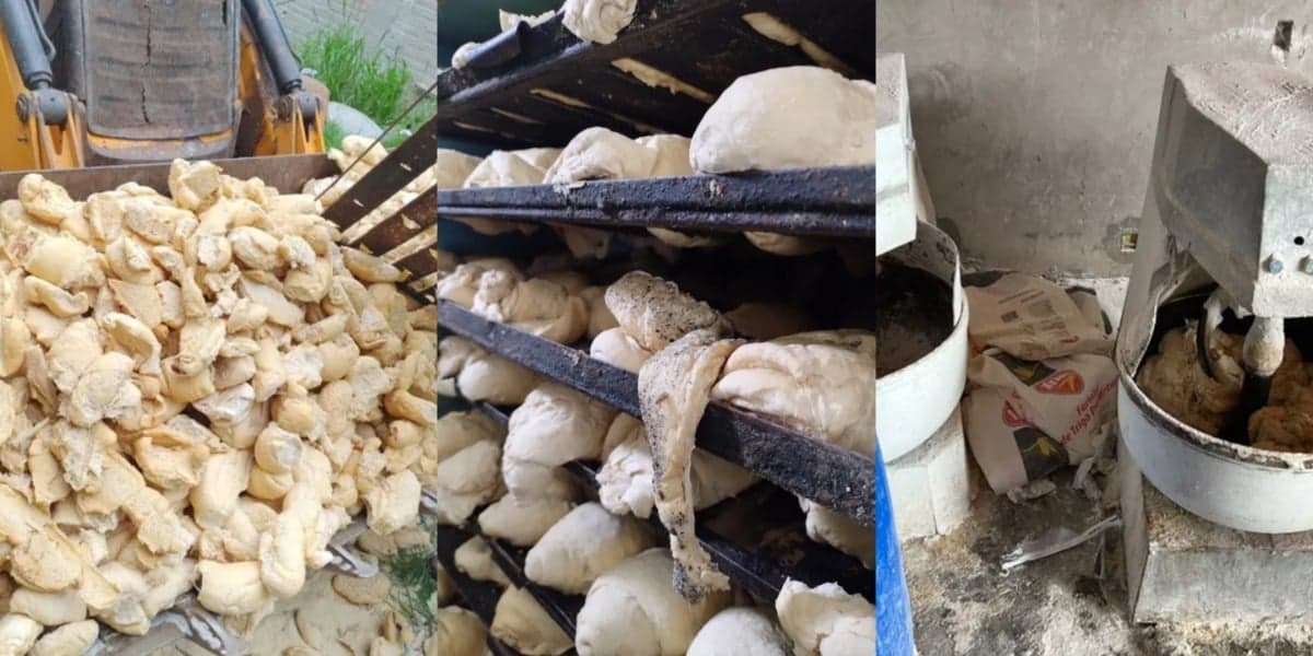 Fábrica de pão foi interditada por condições insalubres - Foto: Montagem Fábrica de pão foi interditada por condições insalubres - Foto: Montagem