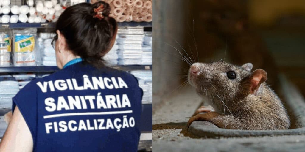 Ratos, baratas e ordem da ANVISA: A interdição às pressas da Vigilância Sanitária contra restaurante popular