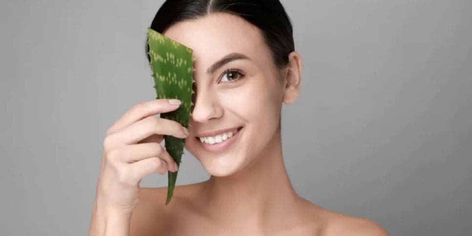 Produção de colágeno turbinada: Como fazer um creme facial com babosa